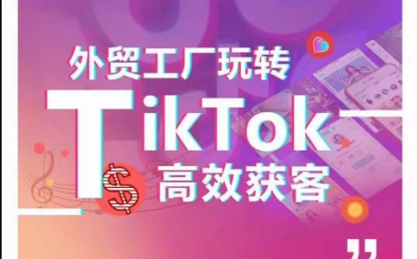 外贸工厂玩转TikTok高效获客，多种引流方式与账号定位技巧，拆解爆款短视频打造成功案例_无忧资源社|无忧资源社