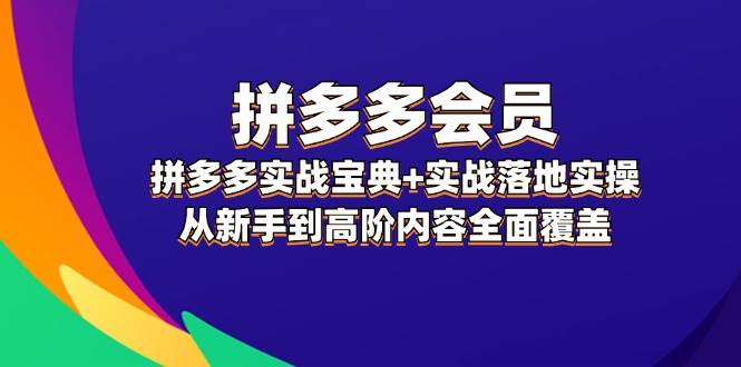 （12056期）拼多多 会员，拼多多实战宝典+实战落地实操，从新手到高阶内容全面覆盖|无忧资源社