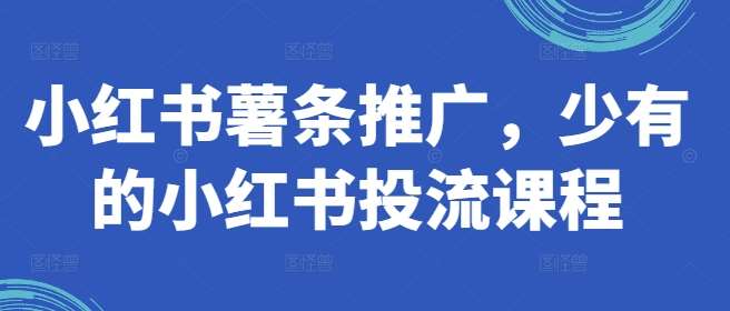 小红书薯条推广，少有的小红书投流课程|无忧资源社