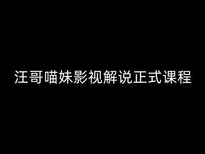 汪哥影视解说正式课程：剪映/PR教学/视解说剪辑5大黄金法则/全流程剪辑7把利器等等|无忧资源社