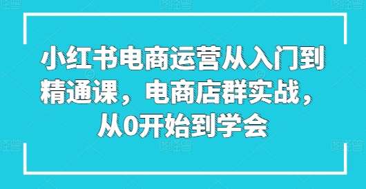小红书电商运营从入门到精通课，电商店群实战，从0开始到学会|无忧资源社