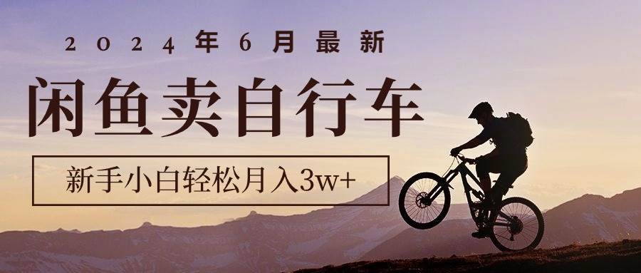 2024年6月最新闲鱼卖自行车，新手小白轻松月入3w+项目|无忧资源社