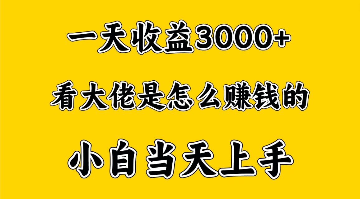 一天赚3000多，大佬是这样赚到钱的，小白当天上手，穷人翻身项目_无忧资源社|无忧资源社