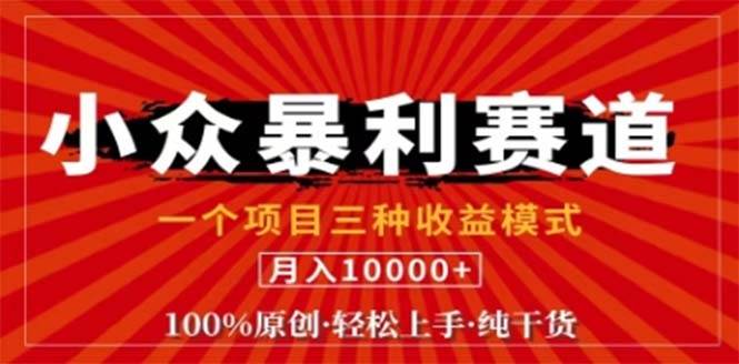 （12756期）视频号最新爆火赛道，三种可收益模式，0粉新号条条原创条条热门 日入1000+|无忧资源社