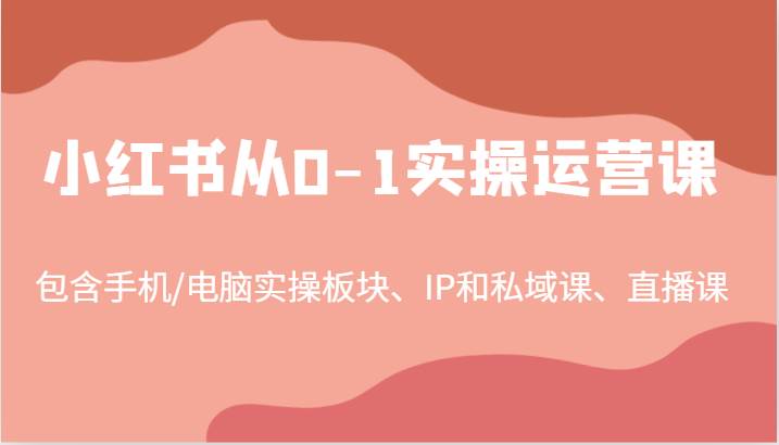 小红书从0-1实操运营课，包含手机/电脑实操板块、IP和私域课、直播课（97节）|无忧资源社