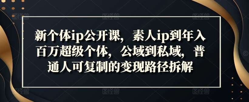 新个体ip公开课，素人ip到年入百万超级个体，公域到私域，普通人可复制的变现路径拆解|无忧资源社