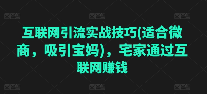 互联网引流实战技巧，宅家通过互联网赚钱|无忧资源社