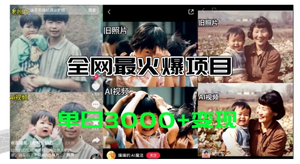 全网爆火的AI让老照片动起来教程，蹭热点日赚3k+，内含免费工具一键可生成|无忧资源社