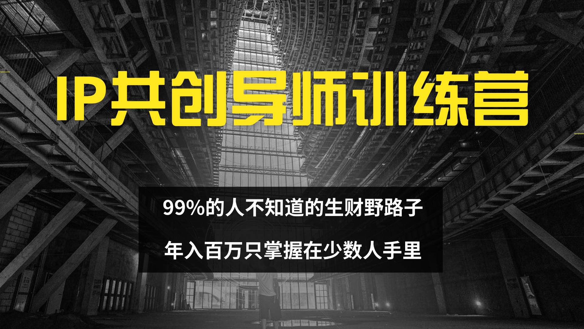 （12504期）IP共创导师训练营 99%的人不知道的生财野路子 只掌握在少数人手里|无忧资源社