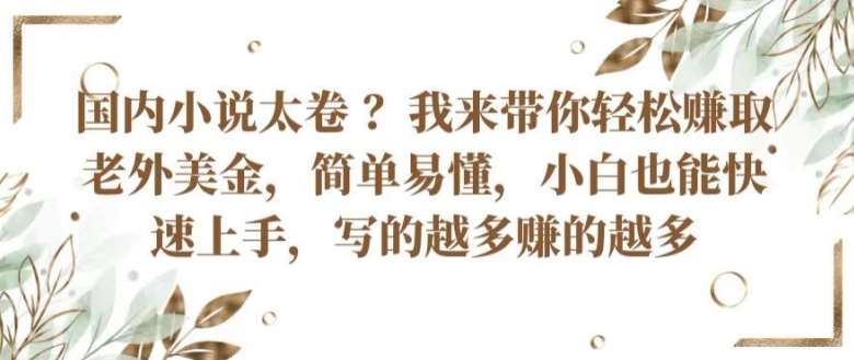 国内小说太卷 ?带你轻松赚取老外美金，简单易懂，小白也能快速上手，写的越多赚的越多【揭秘】|无忧资源社