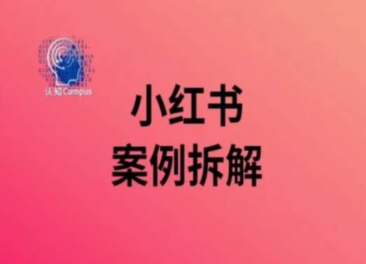 小红书案例拆解，深度解读小红书40万粉|无忧资源社