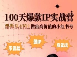 小红书100天爆款IP实战营，带你从0到1做出高价值的小红书号_无忧资源社|无忧资源社