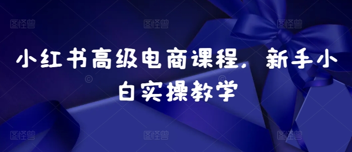 小红书高级电商课程，新手小白实操教学|无忧资源社