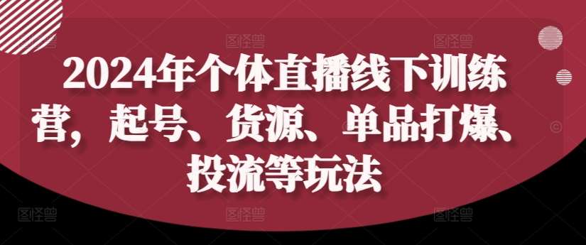 2024年个体直播训练营，起号、货源、单品打爆、投流等玩法|无忧资源社