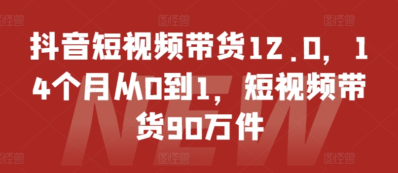 抖音短视频带货12.0，14个月从0到1，短视频带货90万件|无忧资源社