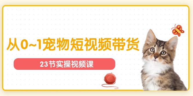 宠物行业从0~1宠物短视频带货实操课|无忧资源社
