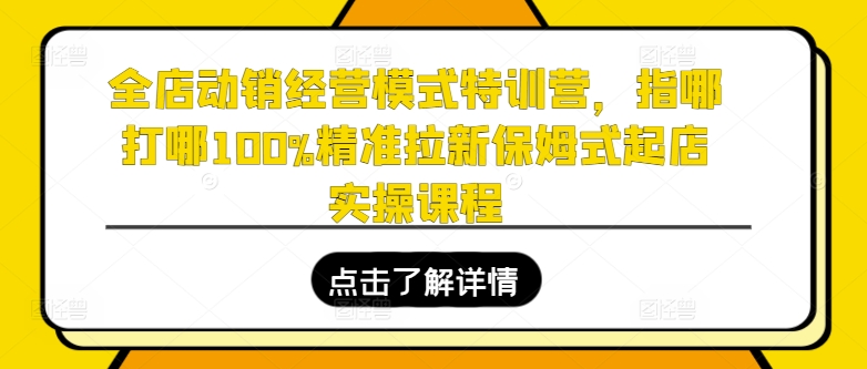 全店动销经营模式特训营，指哪打哪100%精准拉新保姆式起店实操课程|无忧资源社