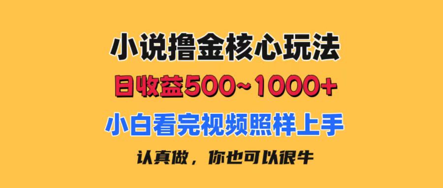 小说撸金核心玩法，日收益500-1000+，小白看完照样上手，0成本有手就行|无忧资源社