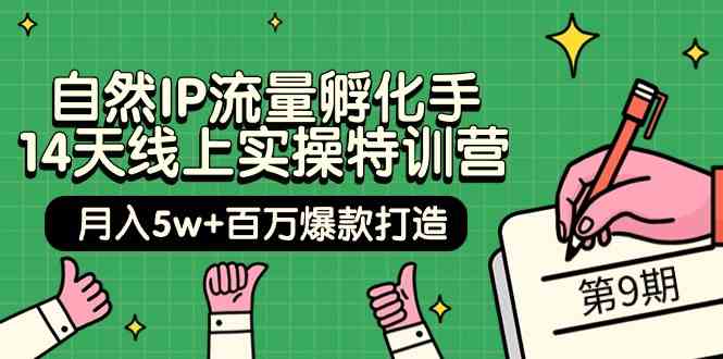 自然IP流量孵化手14天线上实操特训营【第9期】月入5w+百万爆款打造 _无忧资源社|无忧资源社