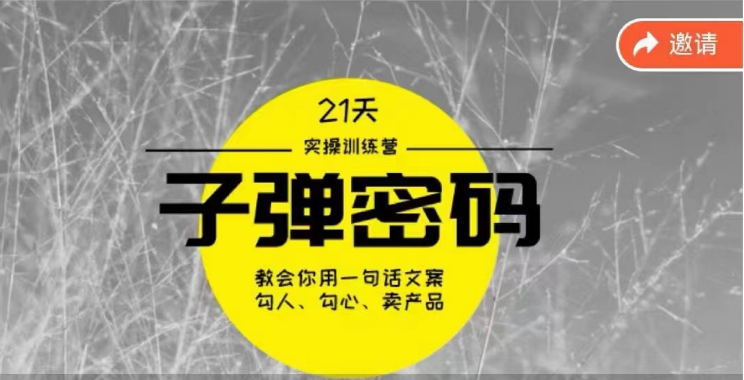 《子弹密码训练营》用一句话文案勾人勾心卖产品，21天学到顶尖文案大师策略和技巧_无忧资源社|无忧资源社