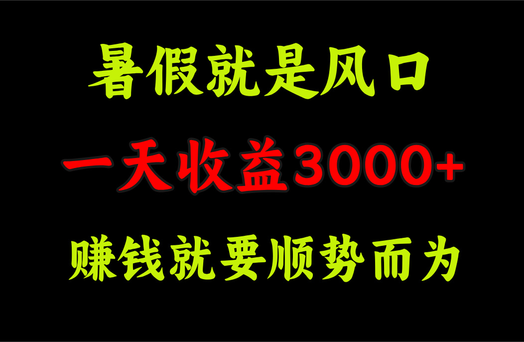 （11670期）一天收益3000+ 赚钱就是顺势而为，暑假就是风口|无忧资源社