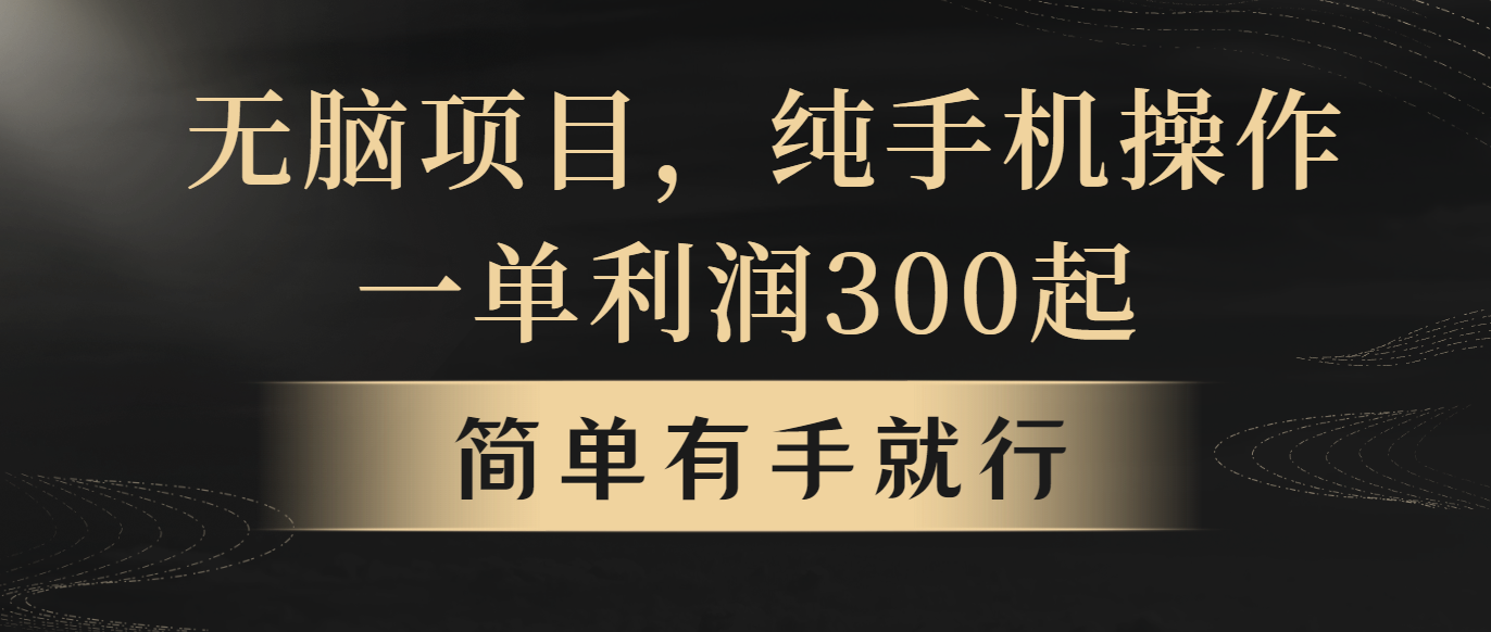 无脑项目，一单几百块，轻松月入5w+，看完就能直接操作_无忧资源社|无忧资源社