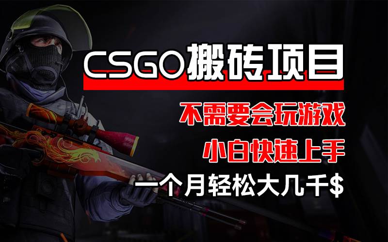 （12332期）CSGO 装备搬砖项目，操作简单，不需要会玩游戏，小白也能快速上手，一…|无忧资源社