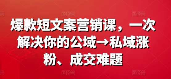 爆款短文案营销课，一次解决你的公域→私域涨粉、成交难题|无忧资源社