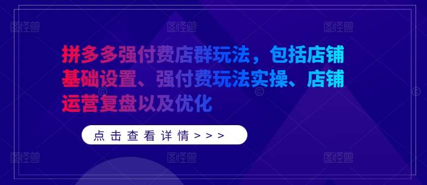 拼多多强付费店群玩法，包括店铺基础设置、强付费玩法实操、店铺运营复盘以及优化|无忧资源社