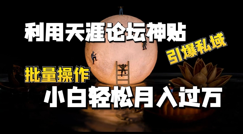 利用天涯论坛神贴，引爆私域，批量操作，小白轻松月入过w|无忧资源社