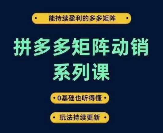 拼多多矩阵动销系列课，能持续盈利的多多矩阵，0基础也听得懂，玩法持续更新|无忧资源社