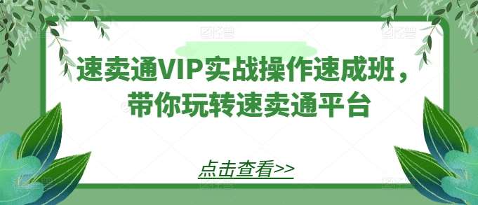 速卖通VIP实战操作速成班，带你玩转速卖通平台|无忧资源社