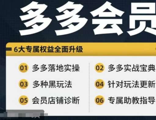 拼多多会员，拼多多实战宝典+实战落地实操，从新手到高阶内容全面覆盖|无忧资源社