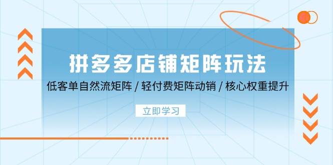 （12720期）拼多多店铺矩阵玩法：低客单自然流矩阵 / 轻付费矩阵 动销 / 核心权重提升|无忧资源社