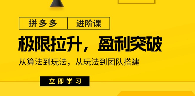 拼多多进阶课：极限拉升/盈利突破：从算法到玩法 从玩法到团队搭建|无忧资源社