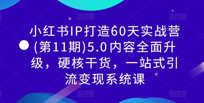 小红书IP打造60天实战营(第11期)5.0​内容全面升级，硬核干货，一站式引流变现系统课|无忧资源社