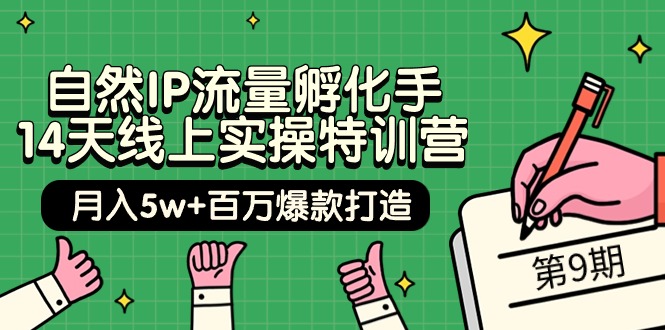 自然IP流量孵化手 14天线上实操特训营【第9期】月入5w+百万爆款打造 (74节)_无忧资源社|无忧资源社