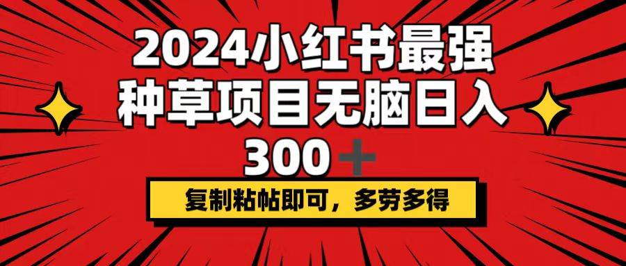 （12336期）2024小红书最强种草项目，无脑日入300+，复制粘帖即可，多劳多得|无忧资源社
