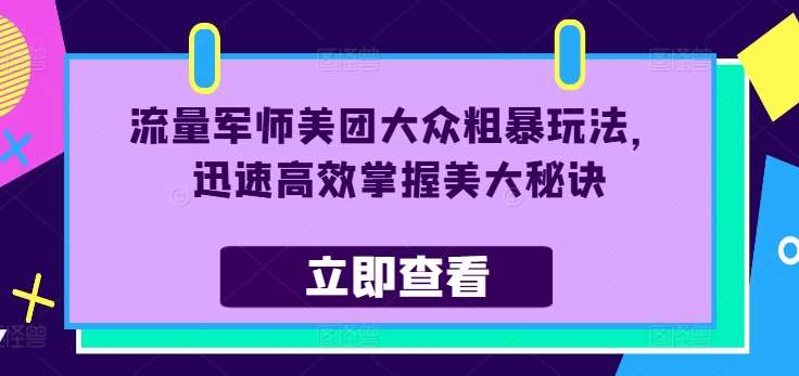 流量军师美团大众粗暴玩法，迅速高效掌握美大秘诀|无忧资源社