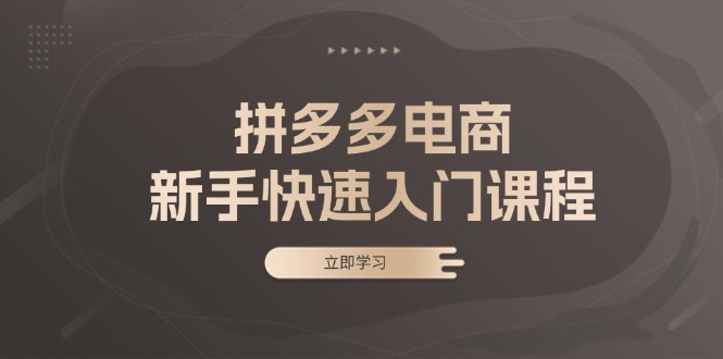 （13289期）拼多多电商新手快速入门课程：涵盖基础、实战与选款，助力小白轻松上手|无忧资源社