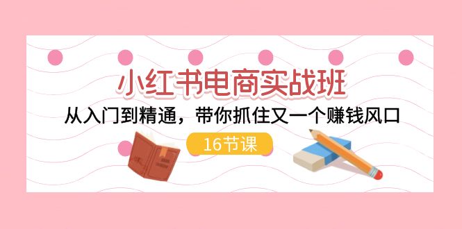 小红书电商实战班，从入门到精通，带你抓住又一个赚钱风口（17节）|无忧资源社