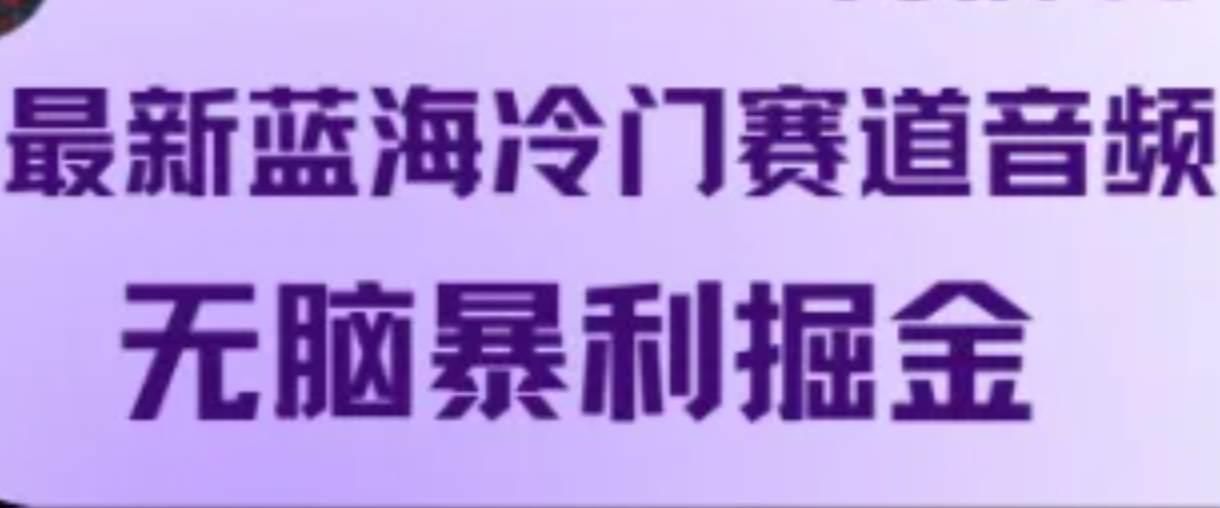 最新蓝海冷门赛道音频，无脑暴利掘金|无忧资源社