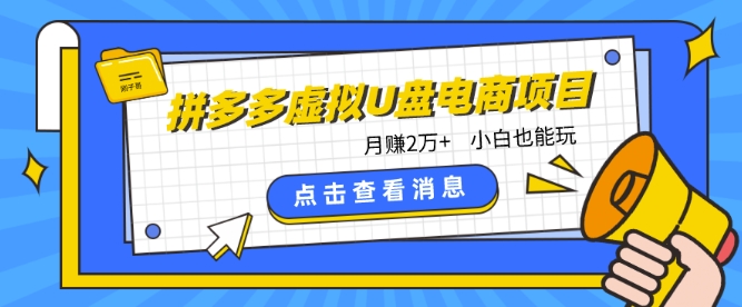 拼多多虚拟U盘电商红利项目：月赚2万+，新手小白也能玩_无忧资源社|无忧资源社