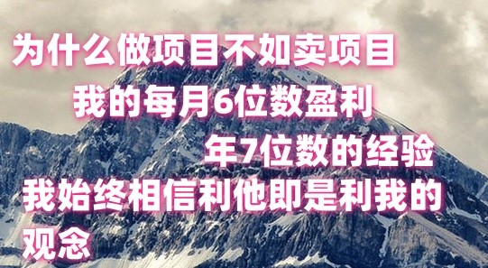 做项目不如卖项目，每月6位数盈利，年7位数经验|无忧资源社