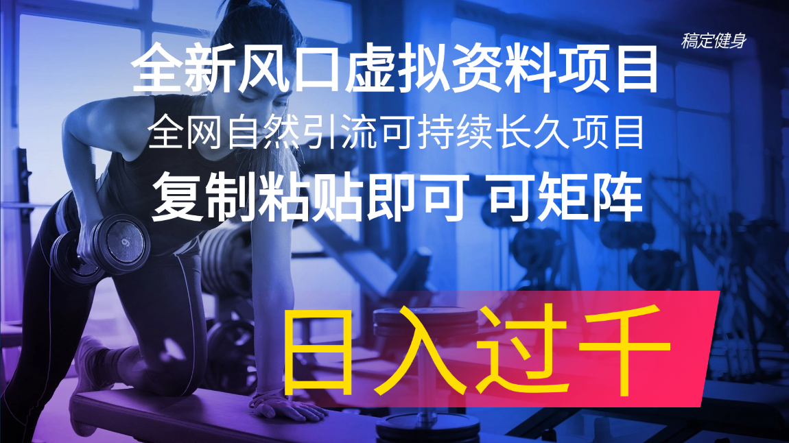 （11587期）全新风口虚拟资料项目 全网自然引流可持续长久项目 复制粘贴即可可矩阵…|无忧资源社