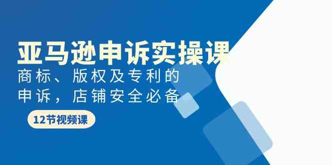 亚马逊申诉实战课，商标、版权及专利的申诉，店铺安全必备_无忧资源社|无忧资源社