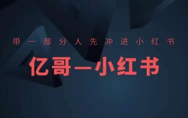 ​​带一部分人先冲进小红书，小红书开店、选品、爆款裂变|无忧资源社