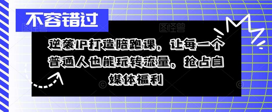 逆袭IP打造陪跑课，让每一个普通人也能玩转流量，抢占自媒体福利|无忧资源社