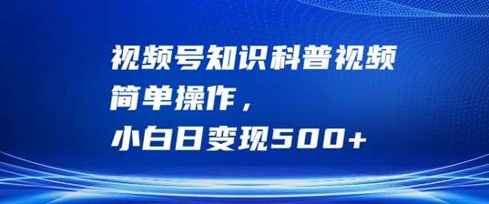 视频号知识科普视频，简单操作，小白日变现500+【揭秘】|无忧资源社