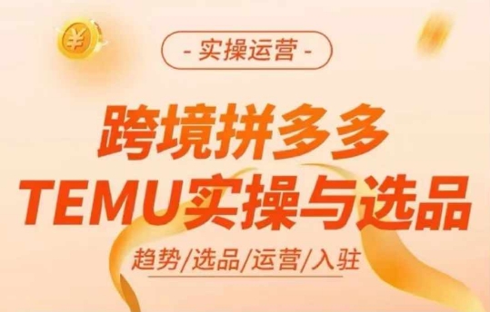 跨境拼多多TEMU实操与选品，多多temu跨境选品运营实操|无忧资源社